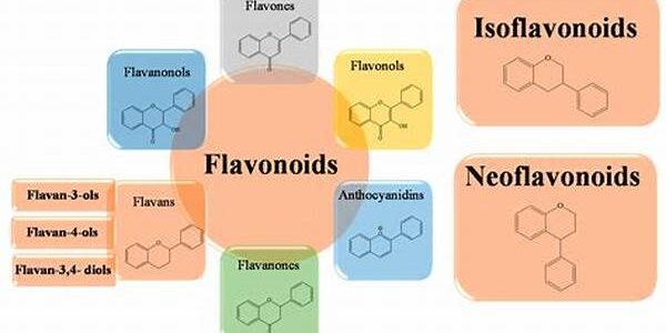 Flavonoid