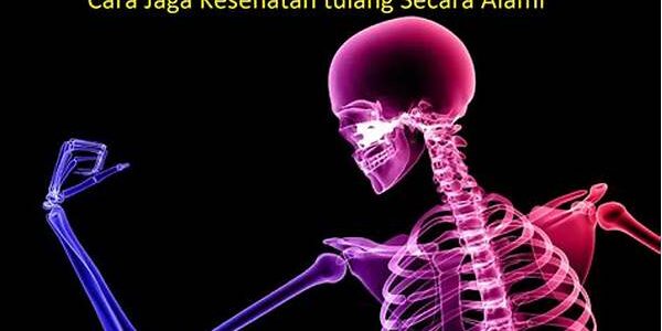 Kesehatan Tulang