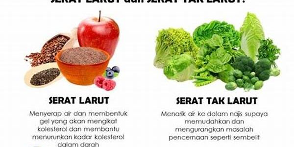 Serat Tidak Larut