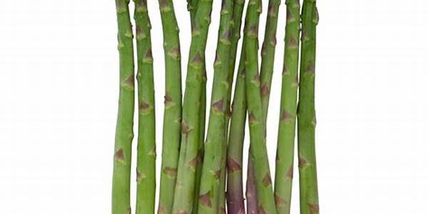 Asparagus