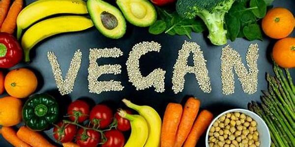 Diet Vegan