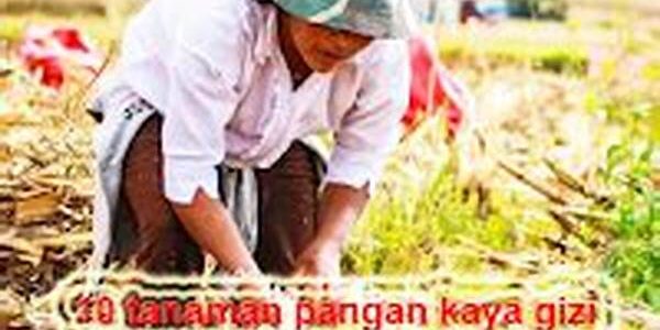 Pangan Kaya Gizi