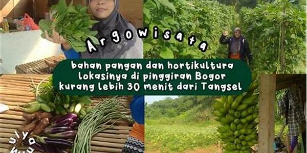 Pangan Pinggiran