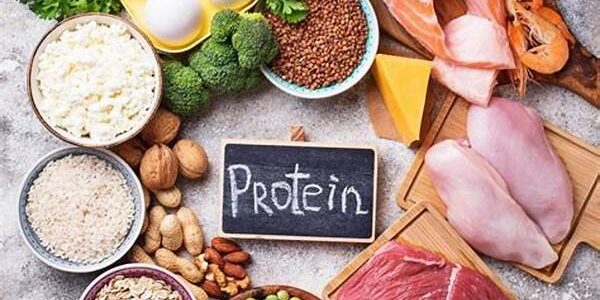 Protein
