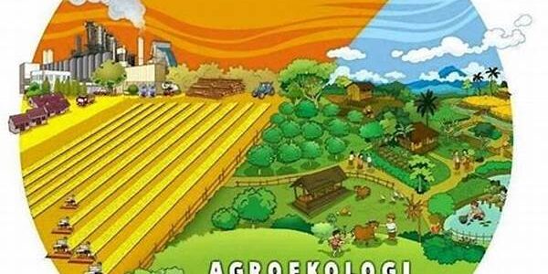 Agroekologi