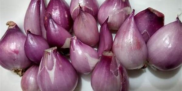 Bawang Merah