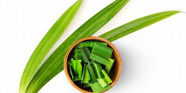 Daun Pandan