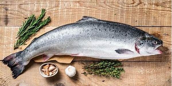 Ikan Salmon