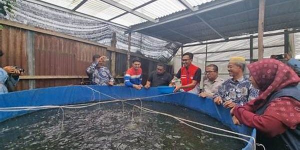 Kampung Pangan