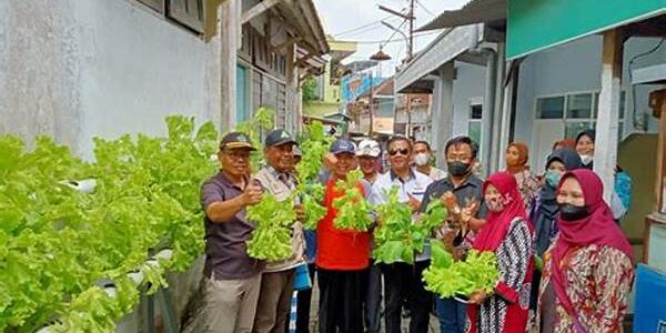 Pangan Perkotaan