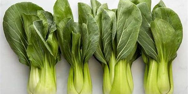 Bok Choy