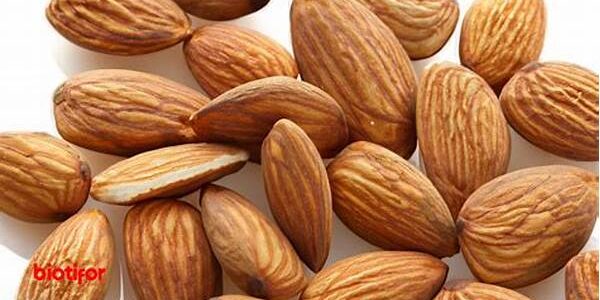Kacang Almond