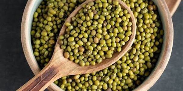 Kacang Hijau