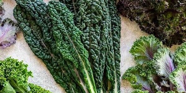 Kale