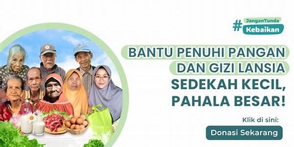 Pangan Lansia