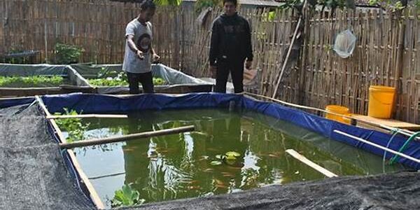 Perikanan Darat