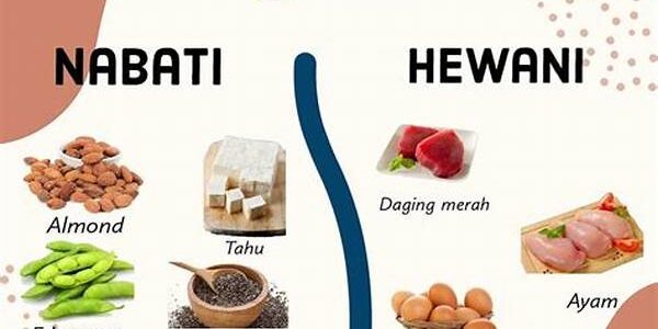 Protein Nabati