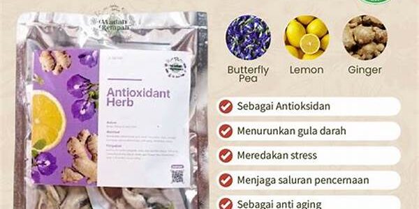 Rempah Antioxidant