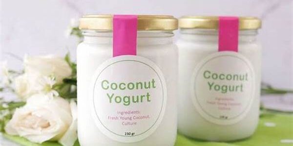 Yogurt Lokal