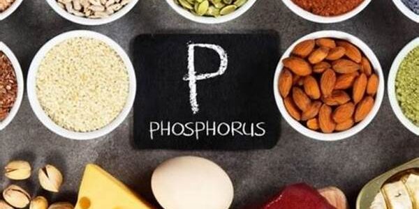 Sumber Fosfor