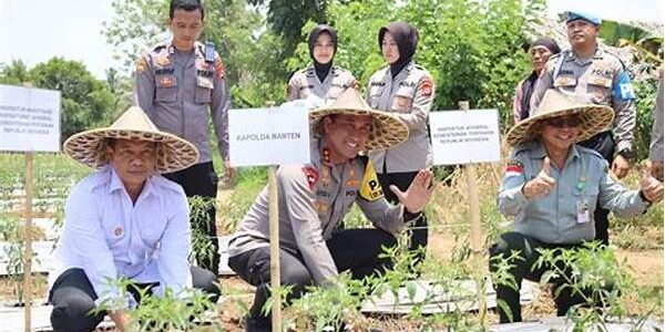 Pangan Suburban Pangan Suburban