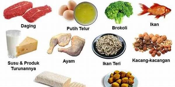 Sumber Protein