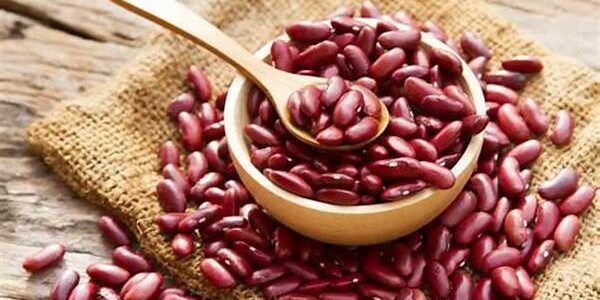 Kacang Merah