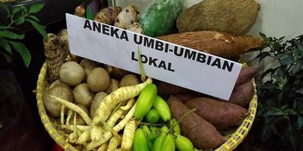 Pangan Lokal