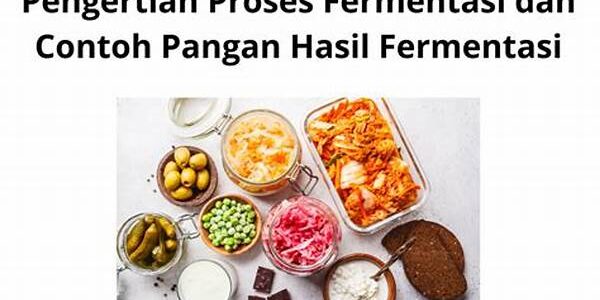 Pangan Tradisi Fermentasi
