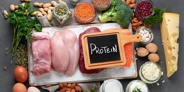 Protein Tinggi