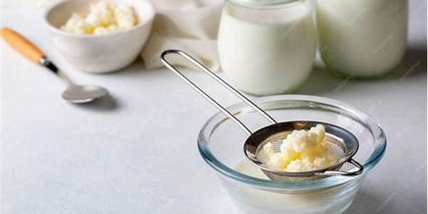 Kefir